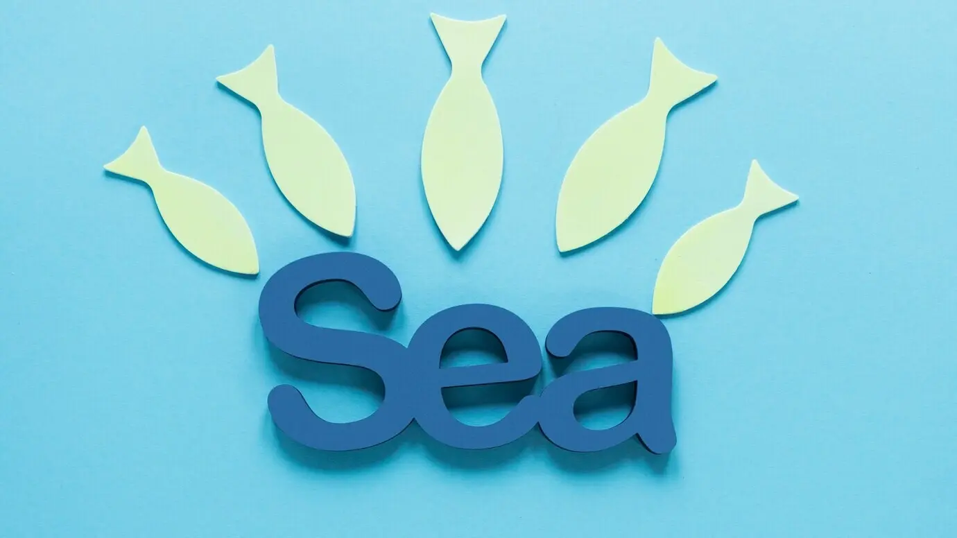 Draufsicht auf das Meer mit Papierfischen.