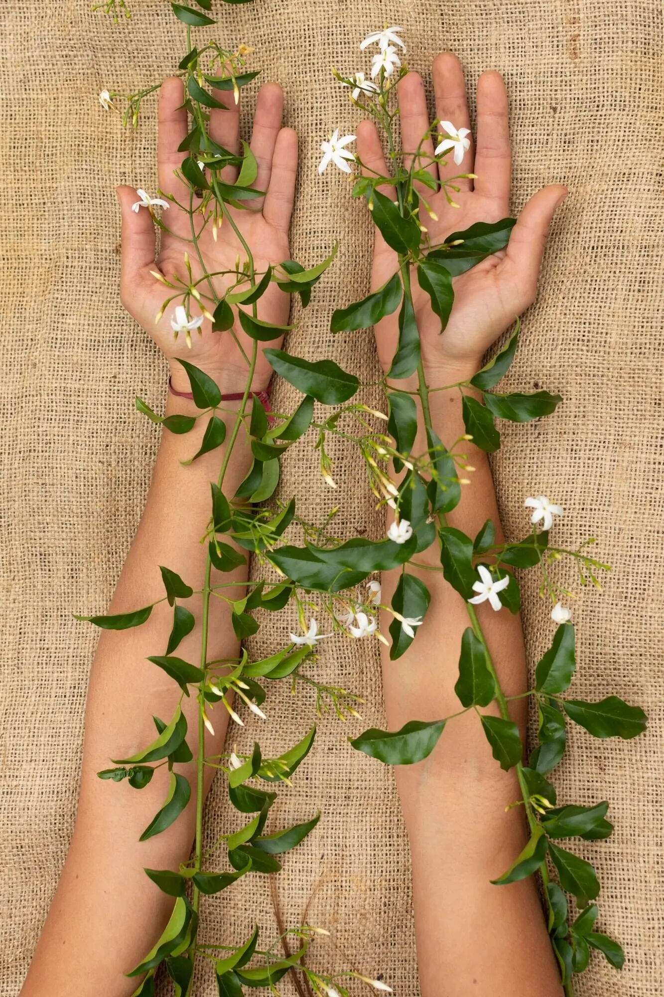 Stillleben-Komposition zum Konzept der Nachhaltigkeit